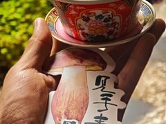 -菌自由丨野生菌火锅特色庭院餐厅(丽江古城店)