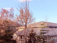 -金石唐风国际温泉会馆