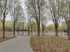 -东郊湿地公园