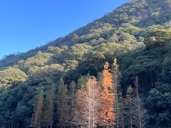 -广州市石门国家森林公园