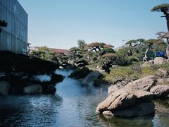 -罗红摄影艺术馆