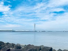 -上海吴淞炮台湾国家湿地公园