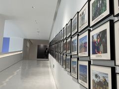 -罗红摄影艺术馆