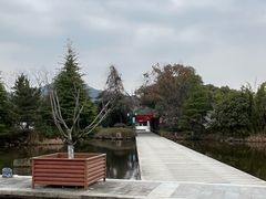 -白马涧龙池景区