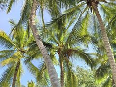 -三亚南山文化旅游区