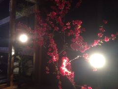 iphone_upload_pic-猪啊牛呀羊啊铜盘烤肉(正大广场店)