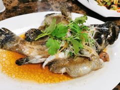 清蒸石斑鱼-宜兴隆家宴·私房菜(泰安华庭店)