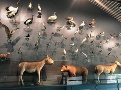 -中国湿地博物馆
