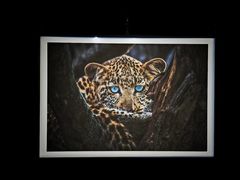 -罗红摄影艺术馆