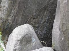-火炉山森林公园