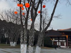 -狼山风景名胜区