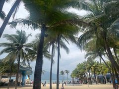 -海南分界洲岛旅游区