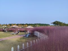 -嘉北郊野公园