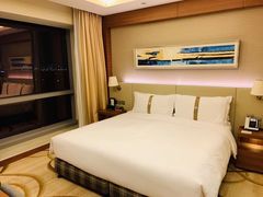 -上海浦东康桥绿地假日酒店
