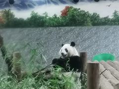 -西安秦岭野生动物园