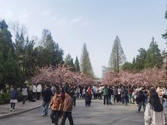 -青皮树酒店(合肥第十中学王岗路地铁站店)