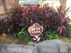 -古龙峡云天玻霸