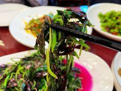 -成都芙蓉饭店蓉国食府·精品川菜·竹山珍·鱼鲜