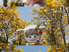 -洲头咀公园