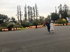 -上海长兴岛郊野公园