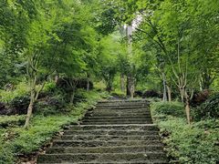 -南山植物园