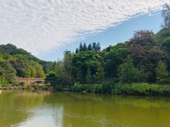 -云溪植物园