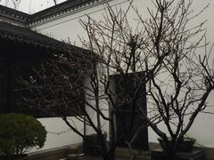 -绮园景区