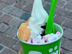 冻酸奶-Salud撒露欧洲冻酸奶(蓝色港湾店)