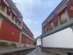 -塔尔寺
