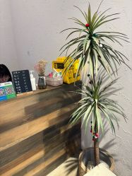 -嘉禾舞社·街舞培训工作室