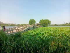 -济南大明湖景区