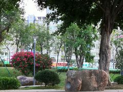 -光明港公园