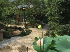 -罗浮山·罗园农庄