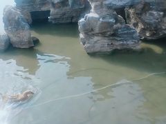 -木兰水镇旅游景区