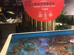 -日进一片海.生腌海鲜火锅.宵夜烧烤(三里屯总店)