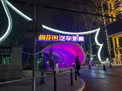 -枫花园汽车电影院(朝阳公园店)