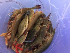 -三亚胜意海景酒店·海鲜自助餐厅(三亚湾路店)