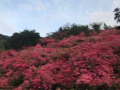 -木兰云雾山