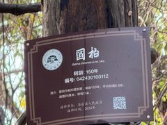 -绮园景区