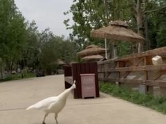 -静之湖度假区