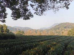 -西湖风景区十里琅珰-五云山