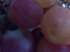 -柯剑飞超级水果批发中心(东港店)