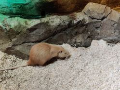 -酷嗒动物文化乐园(cutezoo西溪乐天城店)