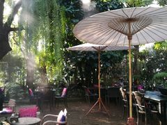-Fern Forest Cafe