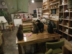 android_upload_pic-萌喵宠狗爱心宠咖