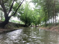 -天目湖松岭竹海漂流