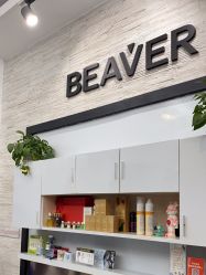 -798·beaver海狸荟