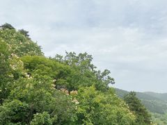 -玉华宫景区