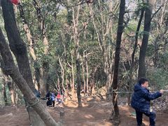 -灵岩山风景区