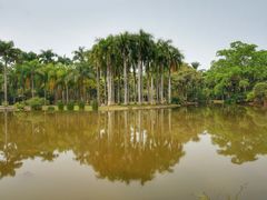 -中国科学院西双版纳热带植物园